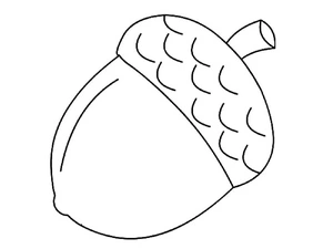 Página para Colorir Bolota na Natureza