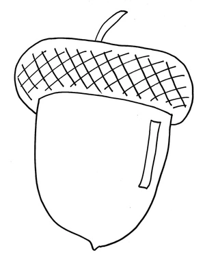 Página para Colorir Estampa de Bolota