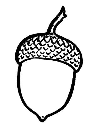 Página para Colorir Página para Colorir de Bolota Grátis