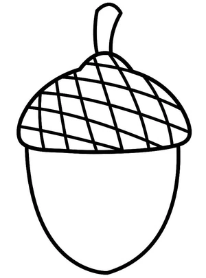 Página para Colorir Bolota Grátis