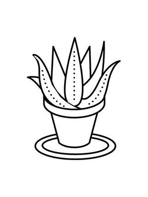 Página para Colorir Aloe Adorável