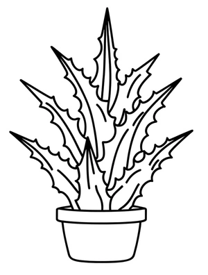Página para Colorir Estampa de Aloe