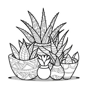 Página para Colorir Plantas de Babosa Lindas