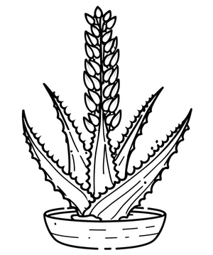 Página para Colorir Página para Colorir de Aloe Grátis para Imprimir