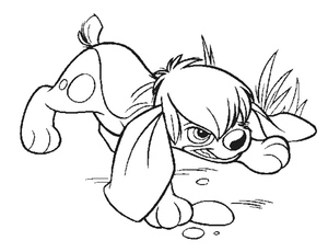 Pooka Furioso