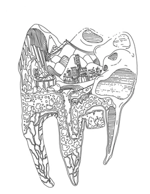 Página para Colorir Estrutura Dentária