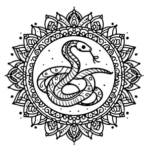 Página para Colorir Mandala Serpente Legal