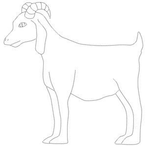 Página para Colorir de Rastreio de Cabra