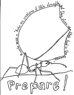 Escrituras dos Insetos