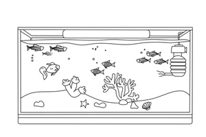 Paraíso do Aquário