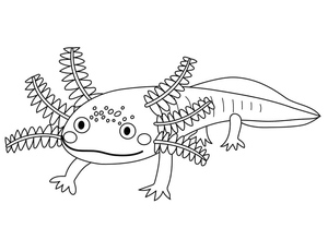 Axolote Grátis