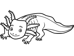 Página para Colorir de Axolote para Imprimir Grátis