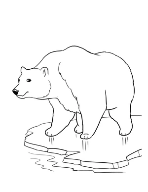 Página para Colorir Arte de Urso, Não Rotulada como Página para Colorir