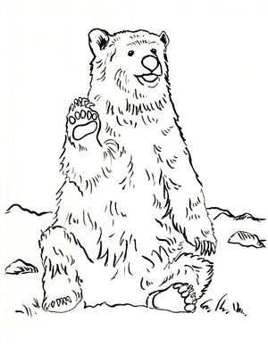 Página para Colorir de Urso Pardo