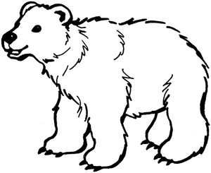 Página para Colorir Esboço de um Urso Livre