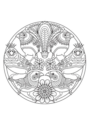 Página para Colorir Mandala dos Seis Pássaros