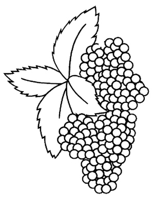 Frutas vermelhas escuras