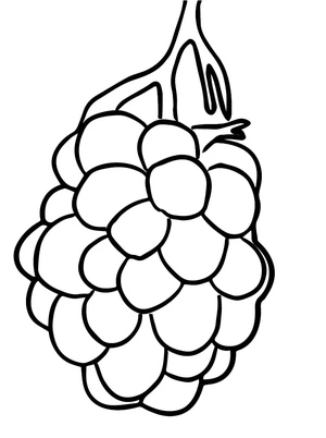 Página para Colorir Frutas de Amora-preta