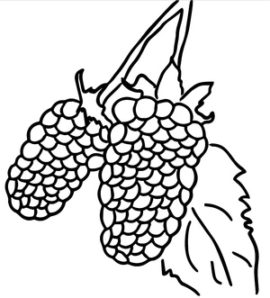 Página para Colorir Página para Colorir de Amora para Imprimir