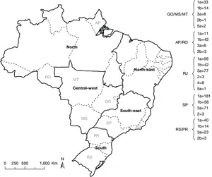 Página para Colorir Página para Colorir Mapa do Brasil