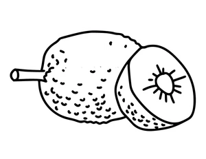 Página para Colorir Fruta-pão Básica