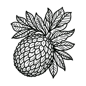 Página para Colorir Árvore de Fruta-Pão com Folhagem