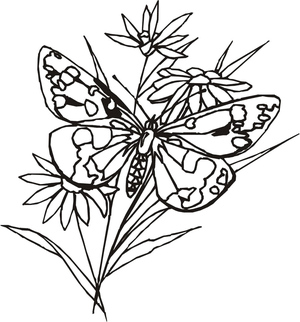 Um Desenho de Borboleta Floral