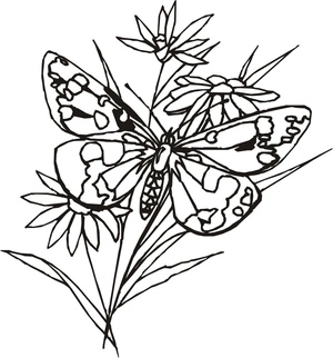 Página para Colorir Um Desenho de Borboleta Floral