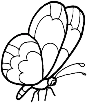 Página para Colorir Página para Colorir de Borboleta