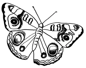 Página para Colorir Página para Colorir Encanto da Borboleta