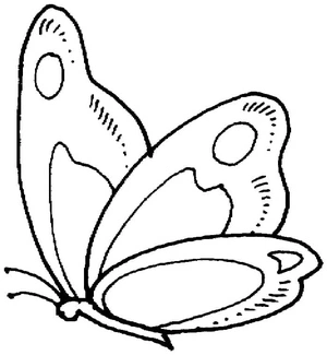Página para Colorir Liberdade da Borboleta