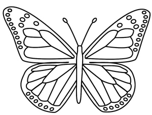 Borboleta Número 4