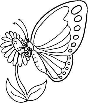 Página para Colorir Borboleta na Flor