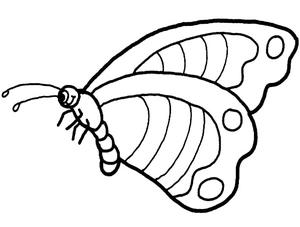 Página para Colorir Página de Colorir Borboleta Grátis para Crianças