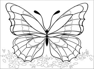 Página para Colorir Página de Colorir Borboleta Grátis
