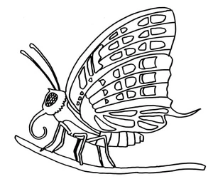 Página para Colorir Borboleta Grátis