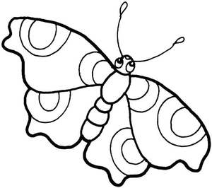 Borboleta Encantadora