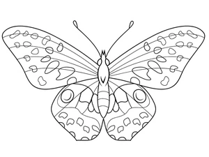 Página para Colorir Borboleta Bonita
