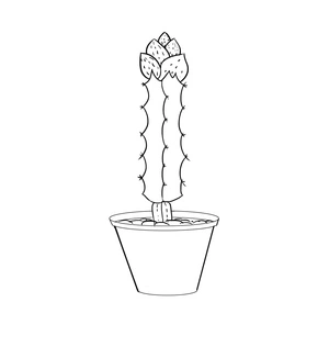 Página para Colorir Imagens Gratuitas de Cactos