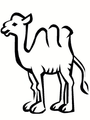Página para Colorir Imagem de um Camelo