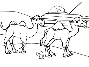 Página para Colorir Par de Camelos