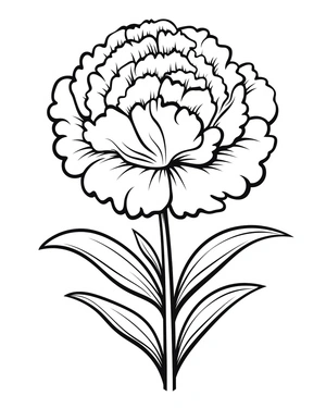 Página para Colorir Bela Cravo