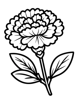 Página para Colorir Página para Colorir Cravo para Imprimir Grátis