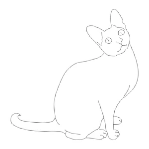Página para Colorir Desenho para Rastrear de Gato