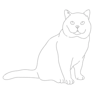 Página para Colorir Folha de Exercícios de Contorno para Gato Britânico