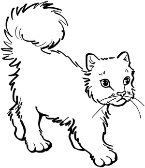 Página para Colorir Um Gato Típico