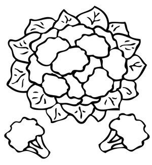 Couve-flor com folhas, página para colorir fácil, grátis para imprimir