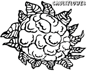 Couve-flor com folhas, página para colorir de couve-flor detalhada, impressão gratuita