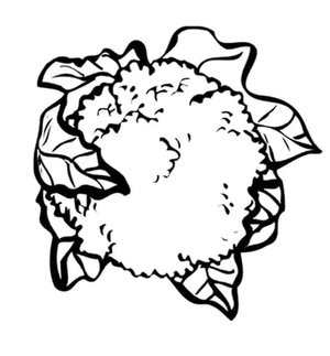 Couve-flor com folhas, página de colorir fácil, imprimível grátis