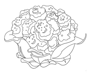Couve-flor